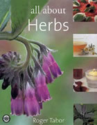 herbs2.jpg