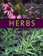 herbs1.jpg